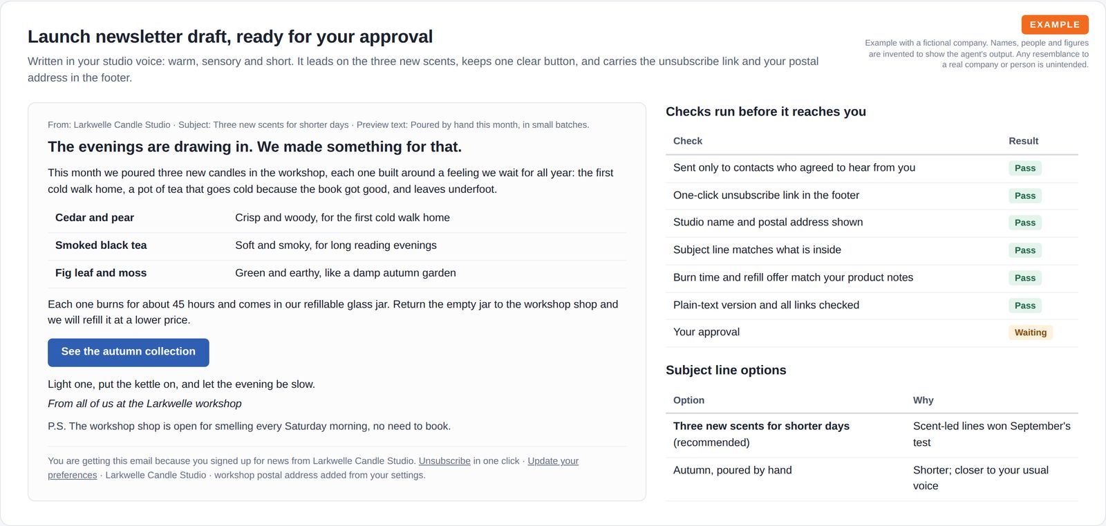 A newsletter draft with subject line, three new candle scents, one button and a footer with an unsubscribe link, beside a table of pre-send checks and two subject line options.